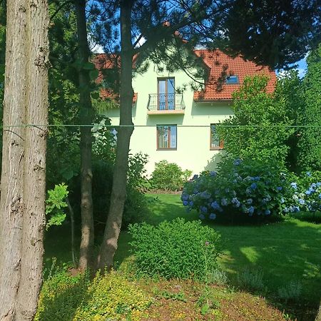 Apartamento Pod Modrzewiami Milówka Exterior foto