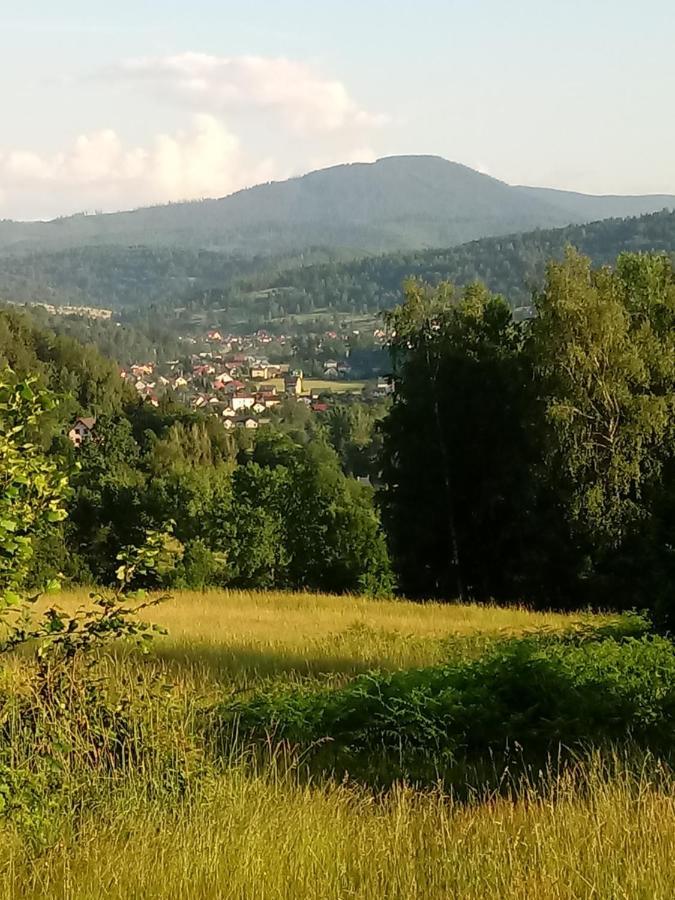 Apartamento Pod Modrzewiami Milówka Exterior foto