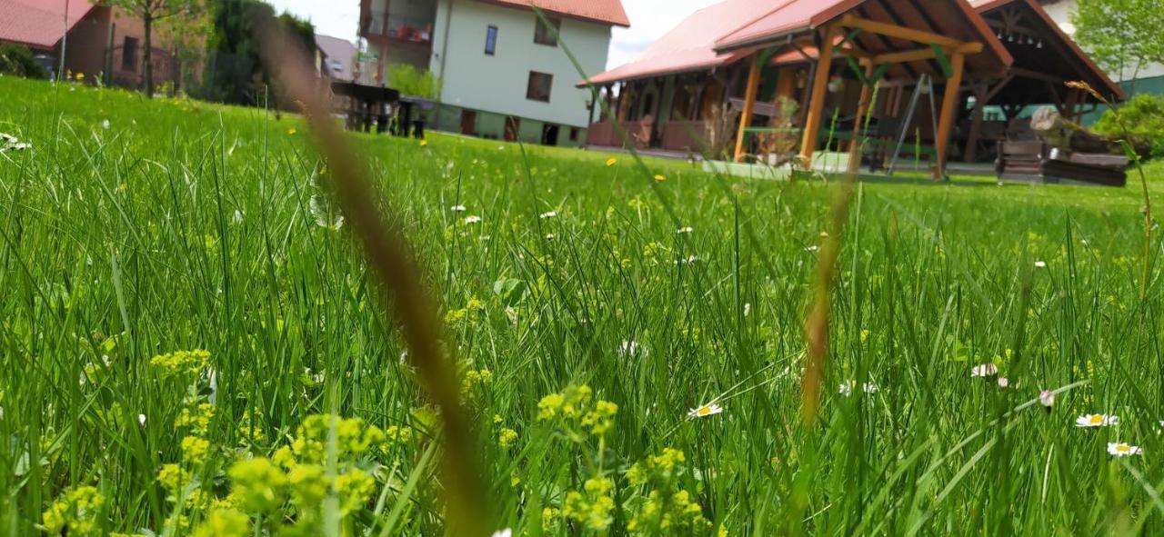 Apartamento Pod Modrzewiami Milówka Exterior foto