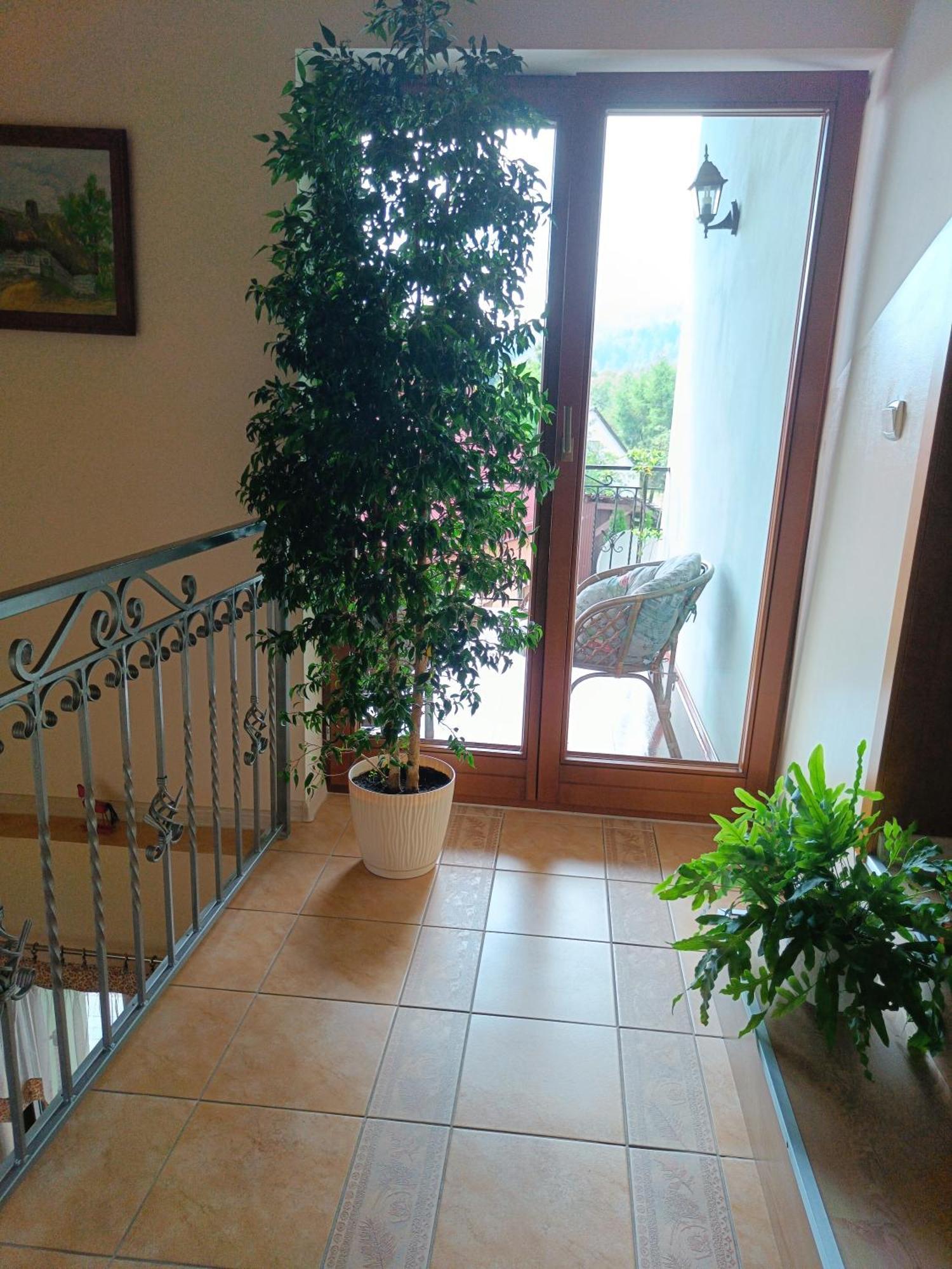Apartamento Pod Modrzewiami Milówka Exterior foto